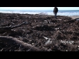 Beach Kairakau Storm Debris 2 2861